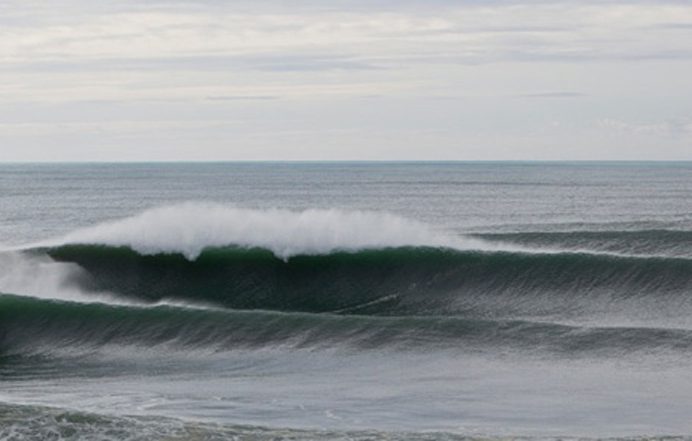 Sydney Swell Mandy Zieren