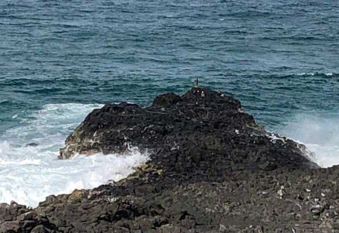 Lennox Head - Iron Peg - Rock Fisherman
