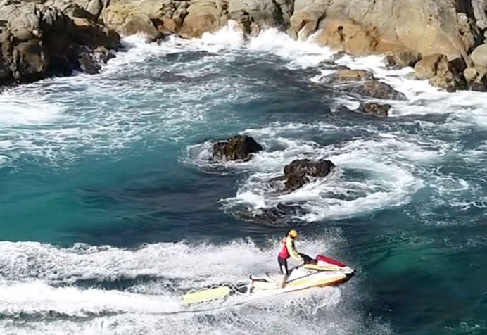 PAcific Palms Rescue of the Month _