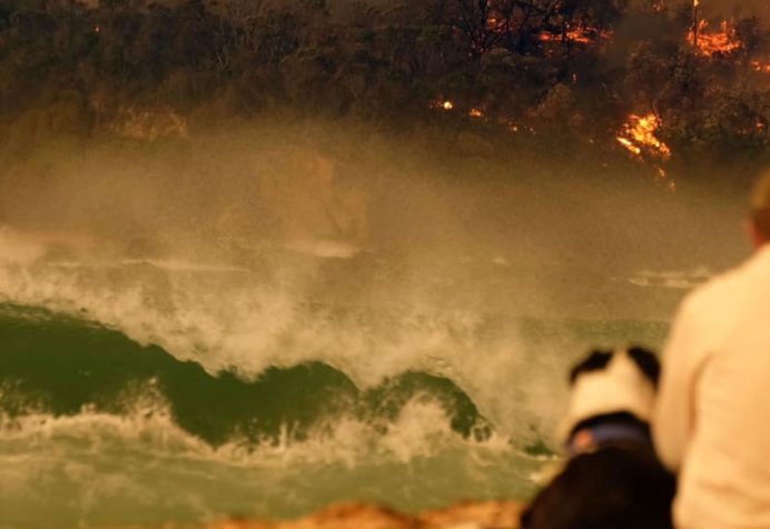 South Coast Bushfire Support - photo by Alex Coppel