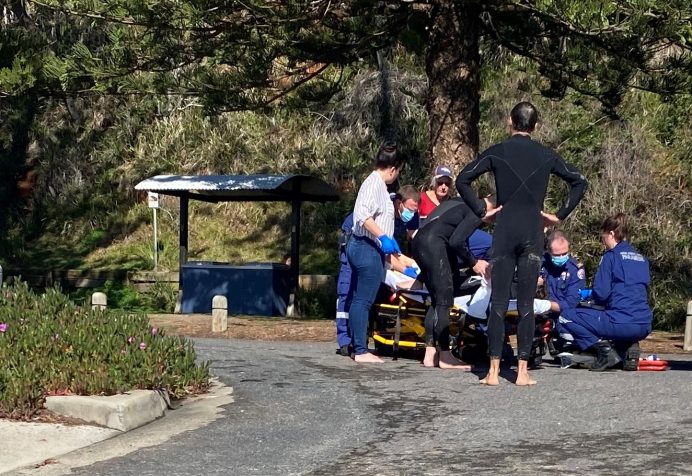 Shark Attack Port Macquatie Shelly Beach Banner