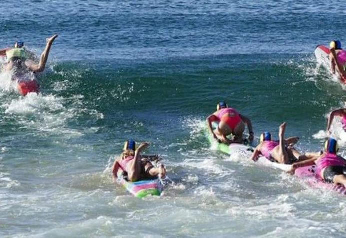 Shelly Beach Rescue of the Month