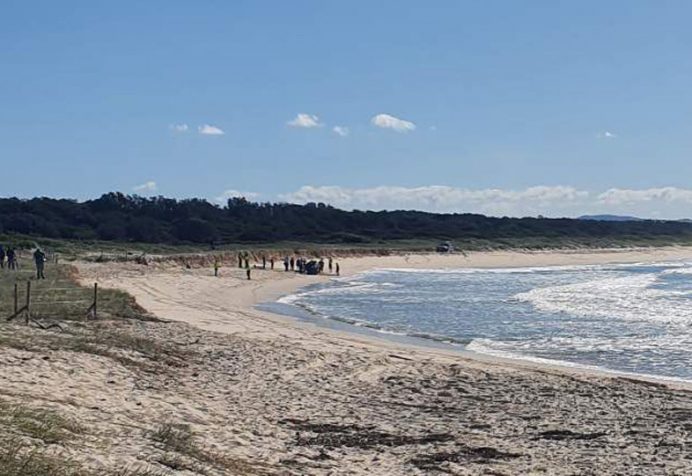 Tuncurry Beach Shark Attack